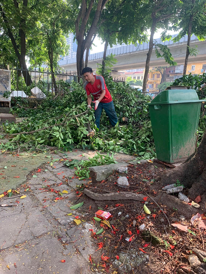 cắt tỉa cây xanh hà nội